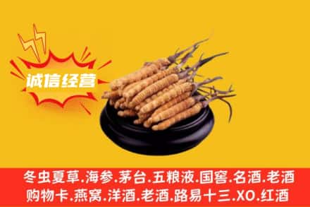 钦州灵山县回收冬虫夏草